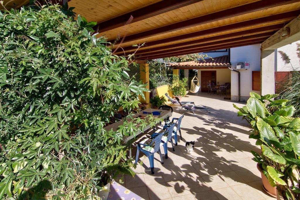 Apartments Caterina Пула Екстериор снимка